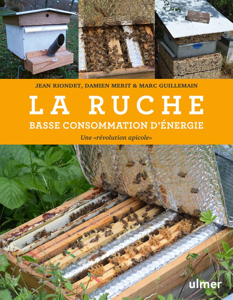 « La Ruche Basse Consommation d’Énergie – Une Révolution Apicole ...